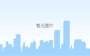 办公专用联网电子门锁